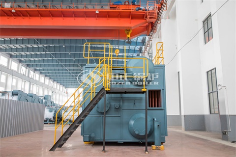 山東盛威新能源有限公司燃油鍋爐