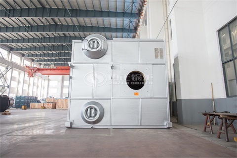 天津?yàn)I海新區(qū)燃?xì)忮仩t