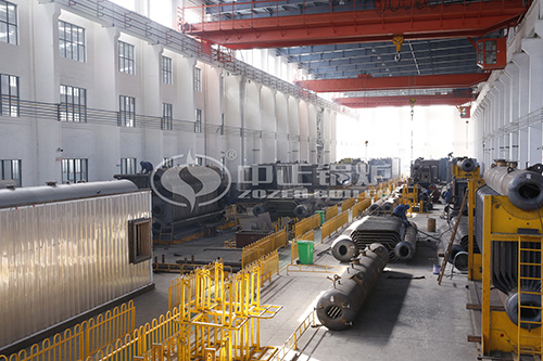 生物質(zhì)顆粒燃料鍋爐 ，生物質(zhì)鍋爐除塵器多少錢一臺