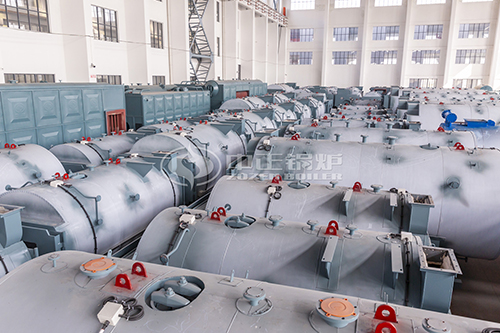 生物質蒸汽鍋爐的價格 6噸生物質發(fā)電鍋爐價格