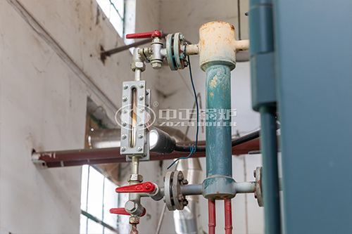 生物質(zhì)鍋爐除塵器價格 ，小型生物質(zhì)鍋爐價格